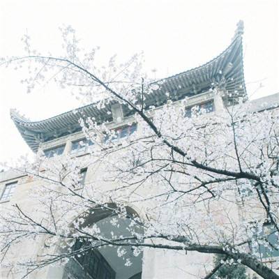 砸金蛋2破解版下载