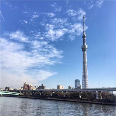 刀锋之怒破解版下载