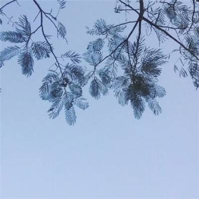 黎明航线百度端下载